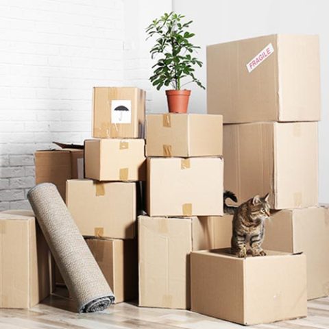 House Movers Nugegoda